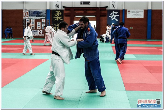 STAGE JUDO MADRID 14 00058